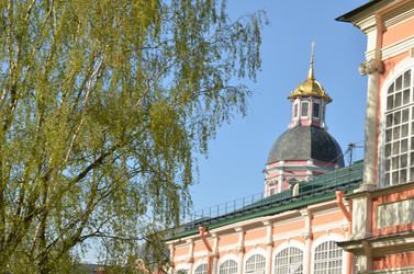 Similar image 22155412