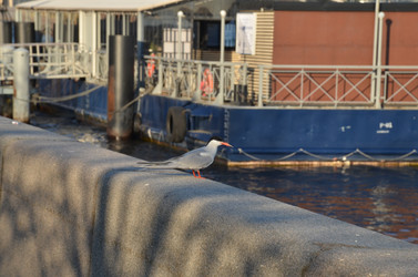 Similar image 22156218