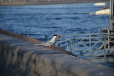 Similar image 22156219