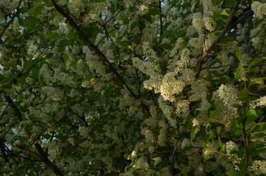 Similar image 22156220