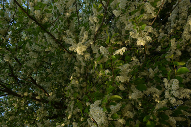 Similar image 22156221