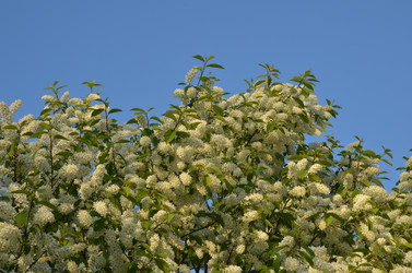 Similar image 22156222