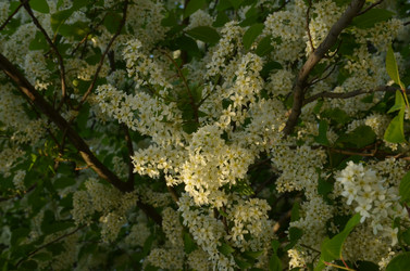 Similar image 22156223