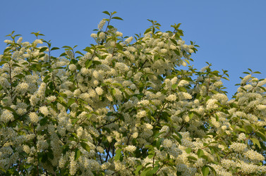 Similar image 22156224