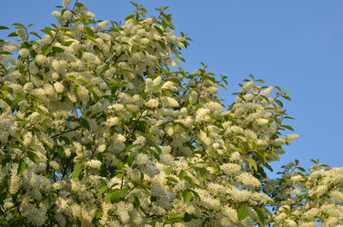 Similar image 22156225