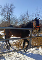 Similar image 22149358