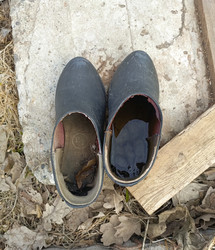 Similar image 22149362