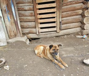 Similar image 22149364