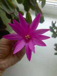 Similar image 22149374