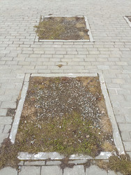 Similar image 22149376