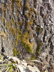 Similar image 22149379