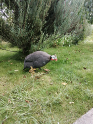 Similar image 22150455