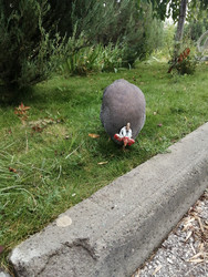 Similar image 22150456