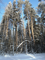 Similar image 22150459