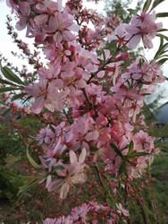 Similar image 22150460