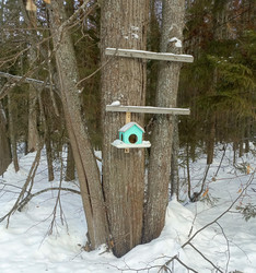 Similar image 22150467