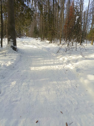 Similar image 22150468