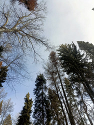 Similar image 22150469