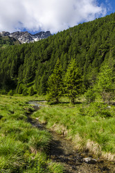 Similar image 22151470