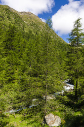 Similar image 22151471