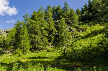 Similar image 22151472