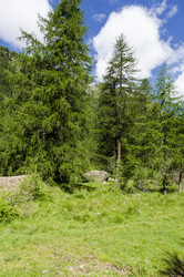 Similar image 22151473