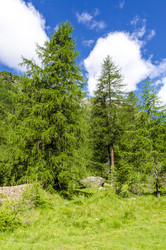 Similar image 22151474