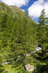 Similar image 22151475