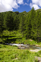 Similar image 22151476