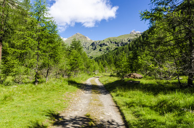 Similar image 22151477