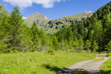 Similar image 22151480