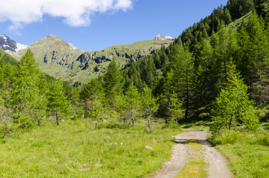 Similar image 22151483