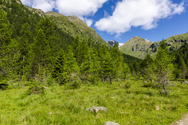 Similar image 22151484