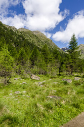 Similar image 22151487