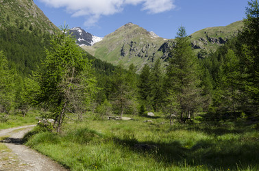 Similar image 22151488