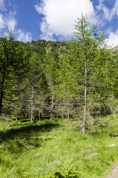 Similar image 22151491