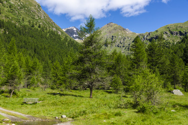 Similar image 22151492