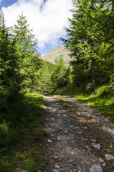 Similar image 22151493