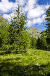 Similar image 22151496