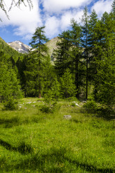 Similar image 22151498