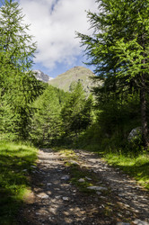 Similar image 22151499