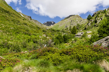 Similar image 22151501