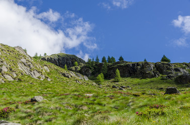 Similar image 22151505