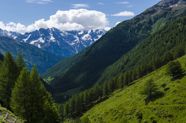 Similar image 22151506