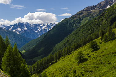 Similar image 22151508