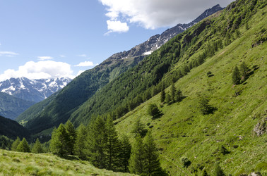 Similar image 22151509