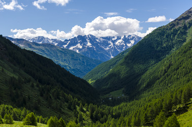 Similar image 22151511