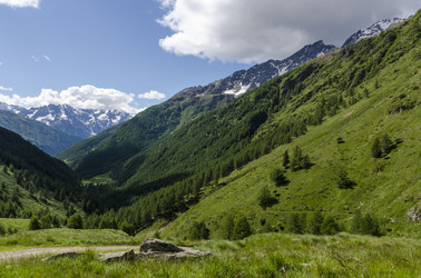 Similar image 22151514