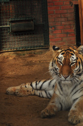 Similar image 22163828