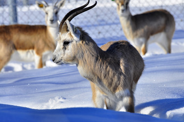 Similar image 22163829